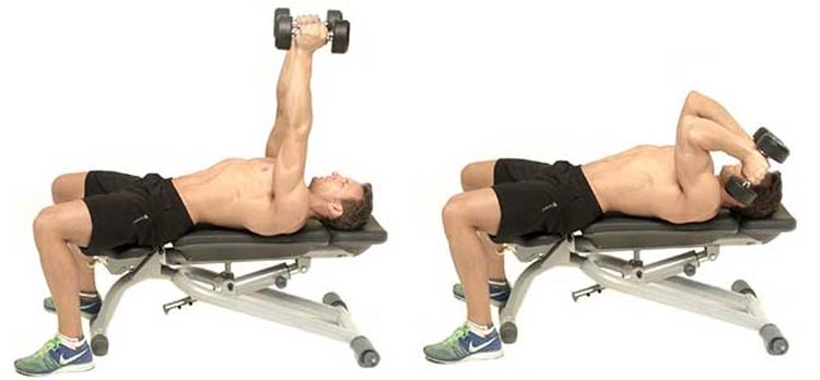 Lying Dumbbell Triceps Extensions