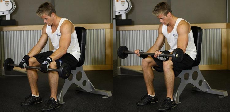 Seated Palms-Down Barbell Wrist Curl
