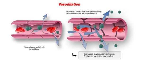 Vasodilation: Definition, Side Effects, Uses, Drugs, Foods, And Supplements 1